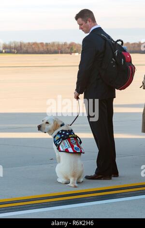 Sully, Präsident George H.W. Bushs service Tier, wartet mit seinem Handler, wie sie Sarg seines Besitzers an Bord der Air Force One 3. Dezember in Andrews, Maryland 2018 eintrifft. Bush, der 41. Präsident, starb in seinem Haus in Houston Alter 94. Stockfoto