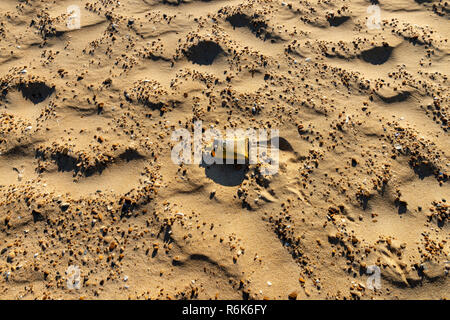 Verschmutzung am Strand. Kunststoff auseinanderbrechen. Stockfoto