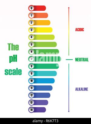 Die ph Skala Diagramm Abbildung Stock Vektor