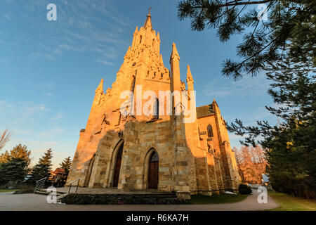 Gotische Hl. Jacek steinerne Kirche in Chocholow, Polen, Ansicht von unter dem Baum. Stockfoto