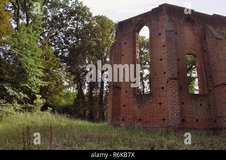 Klosterruine boitzenburg in Mecklenburg Vorpommern Stockfoto