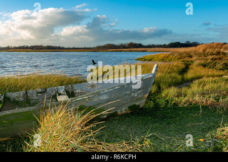 Landschaft Foto von Feuchtgebieten vorland das vordere Ende der verlassenen Wald Boot im Vordergrund. Stockfoto