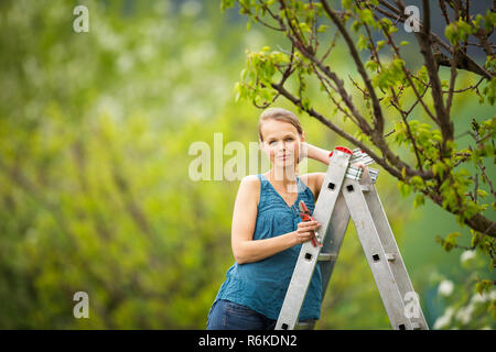 Hübsche, junge Frau in ihrem Obstgarten/Garten Gartenarbeit (getönten Farbbild) Stockfoto