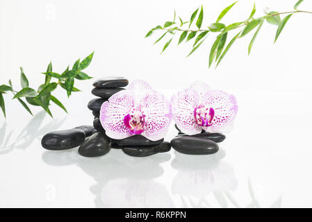 Spa-Konzept mit Phalaenopsis Orchideen, heiße Steine und Bambus Blätter in der Nähe von Stockfoto