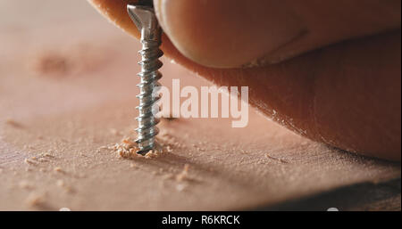 Handwerker treibt die Schraube in die holzplatte Stockfoto