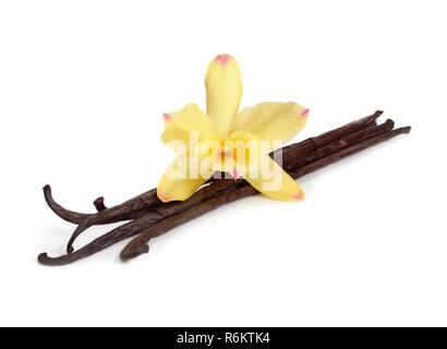 Vanilleschoten mit einem gelben Orchidee. Auf weissem Hintergrund. Stockfoto