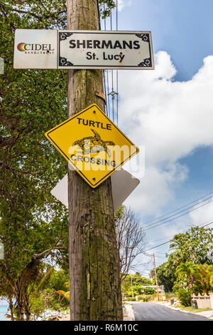 Turtle crossing Sign in St Francis Bay, Barbados. Nesting Baby Schildkröten kommen in frühen Herbst und Leiter für den Ozean, manchmal kreuzenden Straßen. Stockfoto