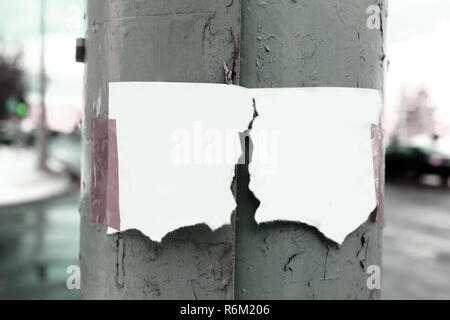 Zwei riss ein leeres Blatt auf dem alten Zaun Stockfoto