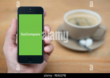 Ein Mann schaut auf seinem iPhone die zeigt die GoCompare Logo (nur redaktionelle Nutzung). Stockfoto