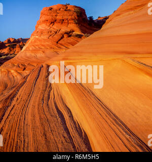 Cross-Bedded Navajo Sandstein, Coyote Buttes, Vermilion Cliffs National Monument, Colorado Plateau, Arizona Stockfoto