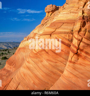 Kreuz-Bett-Zimmer Navajo Sandstein, Coyote Buttes, Vermilion Cliffs National Monument, Colorado Plateau, Arizona Stockfoto