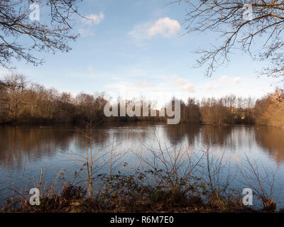 Schönen Frühling See Szene außerhalb der Natur Reserve Dedham Stockfoto