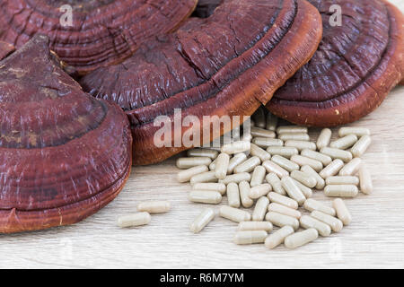 Ling Zhi Pilz oder Ganoderma lucidum Kapsel Stockfoto