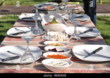 Traditionelle zypriotische Meze und Kebap Grillparty im Garten mit köstlichen Fleisch und Huhn kebaps Stockfoto