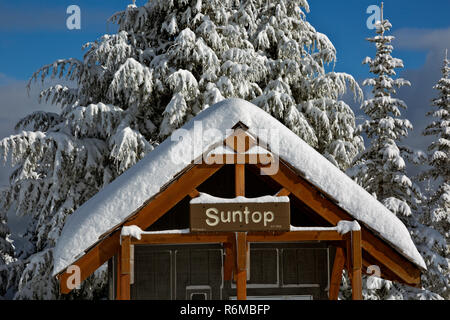 WA 15403-00 ... WASHINGTON - Schneebedeckte Bäume rund um den Schnee Parkplatz und Plumpsklo auf dem Parkplatz des Suntop Berg bedeckt. Stockfoto