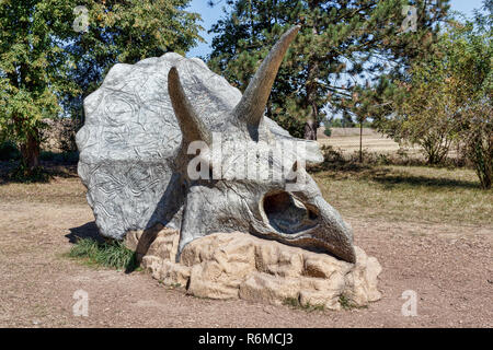 Prähistorische Dinosaurier triceratops Schädel Stockfoto