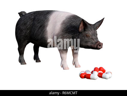 3D-Rendering Schwein und Pillen auf Weiß Stockfoto