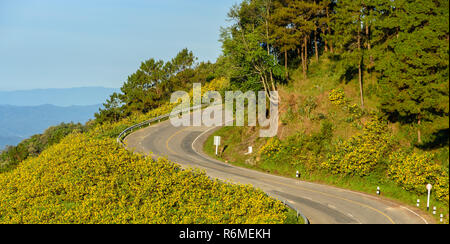 Berg scharfe Kurve Straße mit wilden Mexikanische Sonnenblume Tal in Maehongson Provinz, Thailand Stockfoto