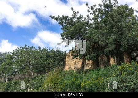 Park Guell spalten und Viadukte Stockfoto