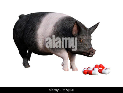 3D-Rendering Schwein und Pillen auf Weiß Stockfoto