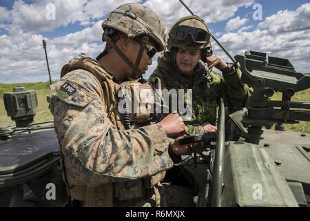 Captain David Wi, gemeinsame Terminal Angriff Controller für 3rd Air Naval Gunfire Liaison Company, Force Headquarters Gruppe, Marine Forces Reserve feeds Ansichten Video aus einer RQ-7 Schatten Unmanned Aerial Vehicle mit einem Scout Beobachter Reconnaissance Platoon, 2 Royal Canadian Regiment 26. Mai 2017, während des Trainings Maple lösen 17. Übung Ahorn zu beheben ist eine jährliche 3-wöchigen multinationale simulierten Krieg veranstaltet von der kanadischen Armee im kanadischen Manöver-Ausbildungszentrum in Camp Wainwright, Alberta, Kanada. In diesem Jahr unterstützt 3. ANGLICO Übung durch die Integration von zwei Feuerkraft Kontrollteams Stockfoto