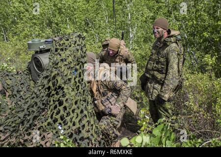 Marines mit 3rd Air Naval Gunfire Liaison Company, Force Headquarters Gruppe, Marine Forces Reserve suchen mögliche feindliche Ziele neben kanadische Soldaten aus dem 2 Royal Canadian Regiment während des Trainings Maple lösen 17 am Camp Wainwright, Alberta, Kanada, 25. Mai 2017. Zwei Feuerkraft Kontrollteams aus 3. ANGLICO, bestehend aus einem gemeinsamen terminal Angriff Controller, Vorwärtsbeobachter und Feld-Funker mit der kanadischen Aufklärung Züge und schwere Anti-Tank Flugkörper Anlagenteile um terminal Kontrolle von Bränden für Fläche-Fläche sowie Luft-zu-s integriert Stockfoto