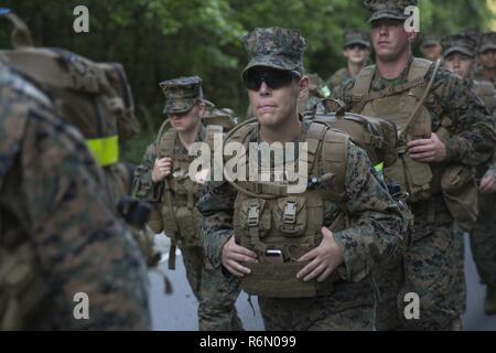 Us Marine Sgt. Kassie McDole ein Kampf Videofilmer mit Sitz Bataillon, 2d Marine Division (2d MARDIV) Spaziergänge in Bildung als theMarines und Matrosen der Zentrale Bataillon 2 d MARDIV, Durchführung einer 12 km Klimaanlage Wanderung auf Camp Lejeune, N.C., 19. Mai 2017. Die Marinesoldaten und Matrosen führen regelmäßig Wanderungen, um deren Bekämpfung wirksam zu halten und Zusammenhalt aufzubauen. (U.S. Marine Corps Stockfoto