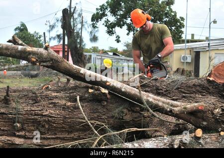 Marines zugewiesen Bridge Company C, 6. Engineer Support Battalion, aus Memphis, Tennessee, können Kettensägen in kleinere Abschnitte, Bäume, Ausbau des Parkplatzes und Eröffnung neuen Eingang für die Western Regional Hospital in Belmopan, Belize, am 27. Mai 2017. Der Parkplatz ist eines der fünf Renovierungs- und Erweiterungsarbeiten Projekte im Rahmen des Beyond the Horizon 2017, einer US Army South-Übung in Zusammenarbeit mit der Regierung von Belize. Stockfoto