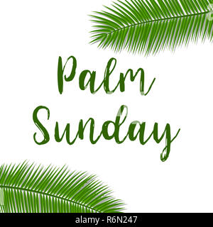 Green Palm Blätter Vektor icon. Vector Illustration für den christlichen Feiertag. Palmsonntag text handschriftlichen Font. Stockfoto