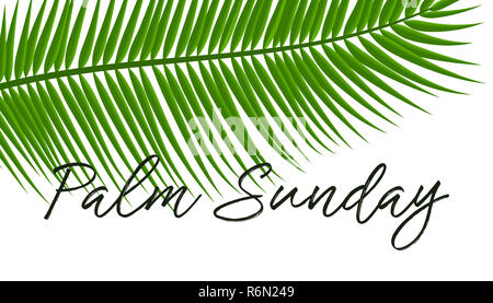 Green Palm Blätter Vektor icon. Vector Illustration für den christlichen Feiertag Palmsonntag Stockfoto