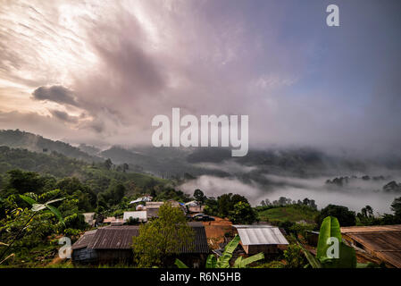 Schönen Morgen Panorama der Wald durch niedrige Wolken bedeckt. Farbige sunrise in den bewaldeten Berghang. Stockfoto