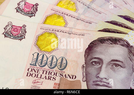 Singapur Eintausend Dollar Banknoten Closeup Stockfoto