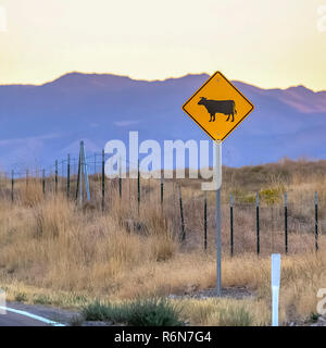 Cattle crossing Schild gegen Berg in Utah Stockfoto