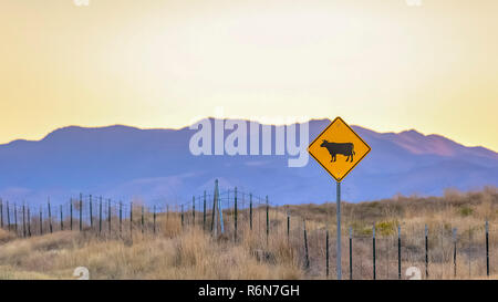 Cattle Crossing Road Sign in Highway 68 Utah Stockfoto
