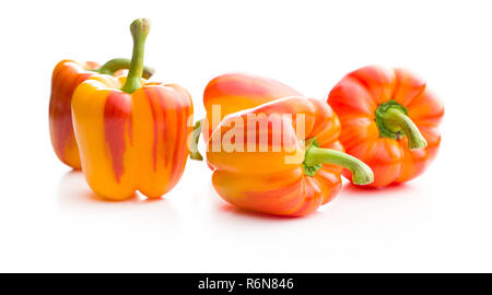 Double color Paprika. Stockfoto