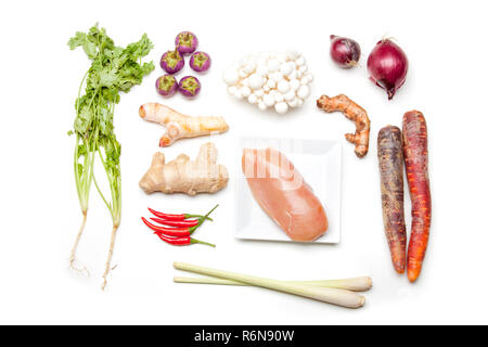 Zutaten für eine Thai Tom Kha Gai Suppe auf Weiß Stockfoto