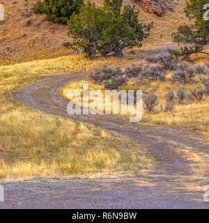 Geschwungene trail auf grasbewachsenen Flächen in Gosen Canyon Utah Stockfoto