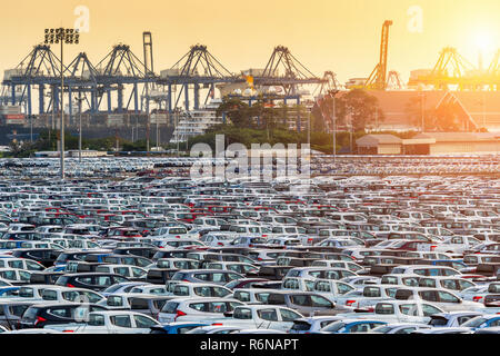 Zeile der neuen Autos in Port. Stockfoto