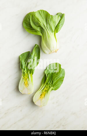 Frische Pak Choi Kohl. Stockfoto