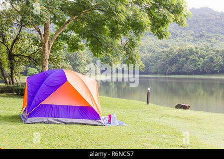 Kuppelzelte camping im Wald Stockfoto