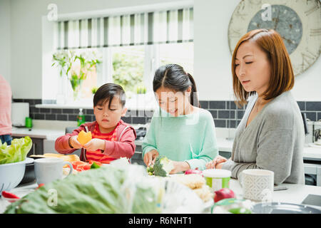 Familie Vorbereitung einer Pfannengerichte zusammen Stockfoto