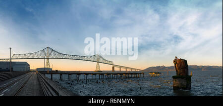 Astoria Megler Brücke von Riverwalk Panorama Stockfoto