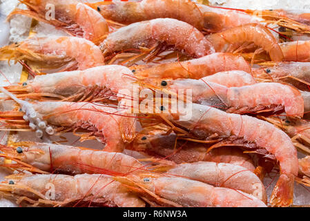 Gefrorene Garnelen zum Verkauf auf einem Markt in Madrid, Spanien Stockfoto