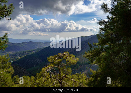 Blick auf die Berge von Zypern mit einem bewölkten Himmel und einigen Bäumen im Vordergrund. Stockfoto