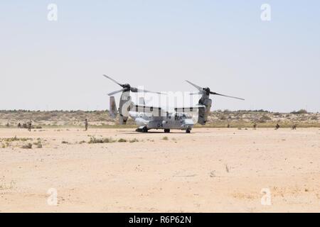 Us-Marines mit 1St Battalion, 7th Marine Regiment, Special Purpose Marine Air-Ground Task Force-Crisis Response-Central Befehl, bis ein security Perimeter um eine MV-22 Osprey Kipprotor-flugzeug zu Marine Medium Tiltrotor Squadron 364 zugeordnet, während ein Experte auf einem Austausch in Saudi-Arabien, 15. Mai 2017 festgelegt. Der Austausch war eine Gelegenheit erhöht, für die USA und Saudi-Arabien die Kräfte zu werden. Bereitstellen von US-Marines in die US Central Command Verantwortungsbereich kombiniert zu führen militärische Ausbildung mit Sicherheitskräften unser Partner Nationen stärkt unsere lebendige Beziehung Stockfoto