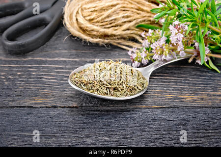 Thymian trocknen in Löffel mit einer Schere an Bord Stockfoto