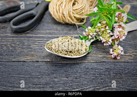 Thymian trocknen in Löffel mit Garn auf dem Schwarzen Brett Stockfoto