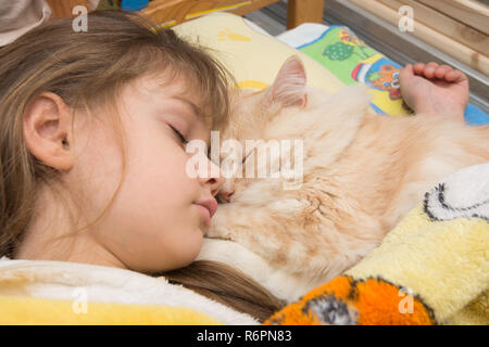 Ein Mädchen Und Eine Katze Sind Süß Schlafen Im Bett