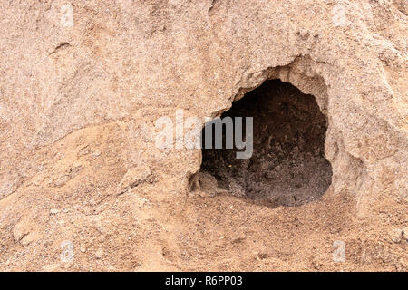 Loch im Sand Hill Stockfoto