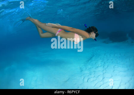 Junge schöne Frau Schwimmen unter Wasser, Indischer Ozean, Malediven Stockfoto